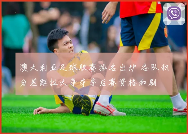澳大利亚足球联赛排名出炉 各队积分差距拉大争夺季后赛资格加剧