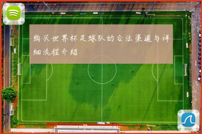购买世界杯足球队的合法渠道与详细流程介绍
