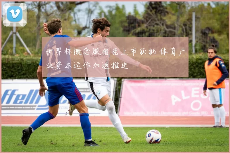 世界杯概念股借壳上市获批 体育产业资本运作加速推进