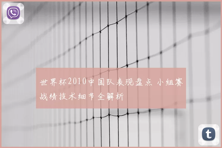 世界杯2010中国队表现盘点 小组赛战绩技术细节全解析