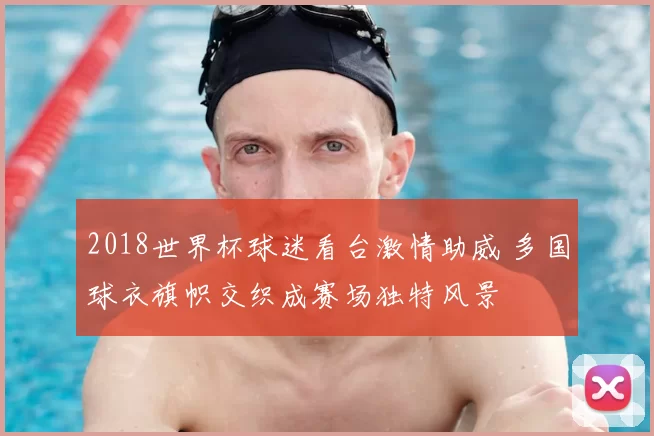 2018世界杯球迷看台激情助威 多国球衣旗帜交织成赛场独特风景