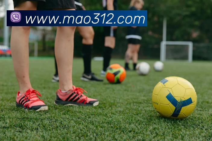 米兰app官方正版官网品牌故事