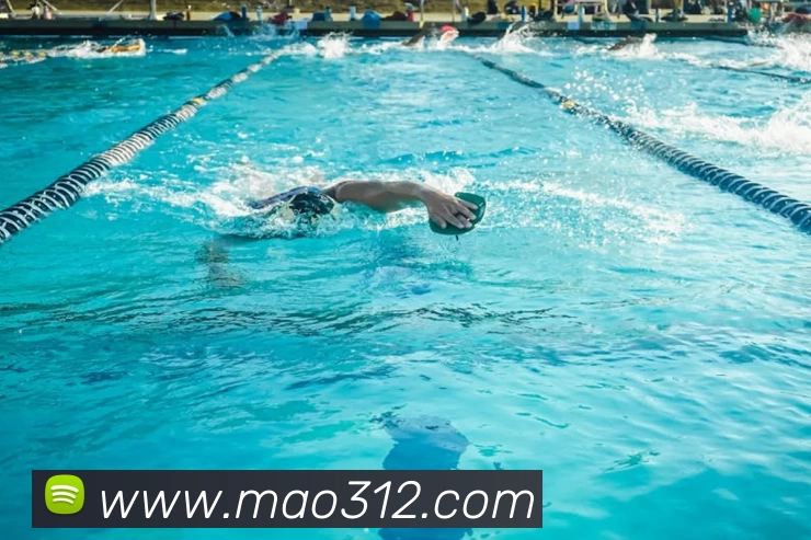 米兰app官方正版官网服务体系